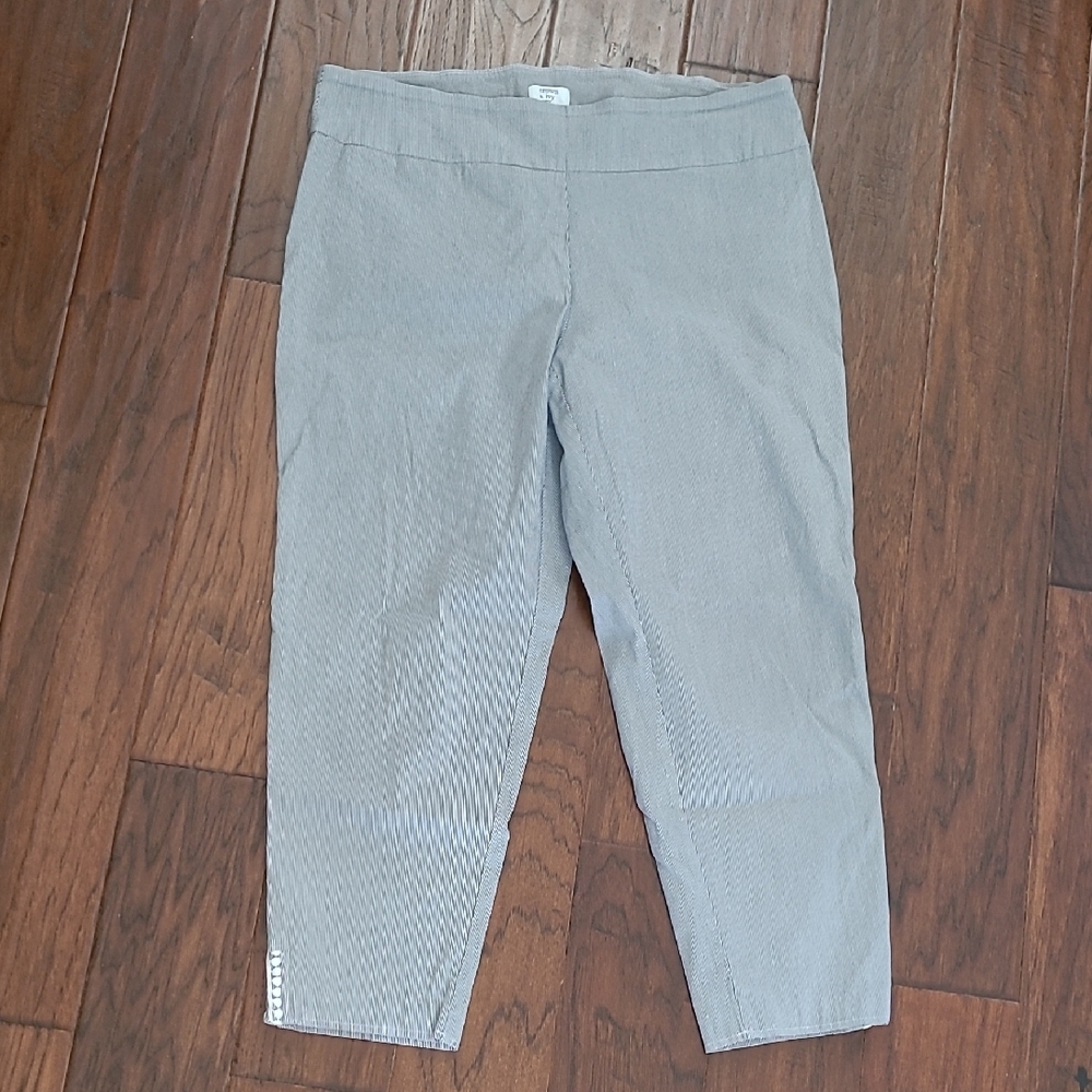 Crown & Ivy Blue & White Pinstripe Pullon Ankle Pants size 16W